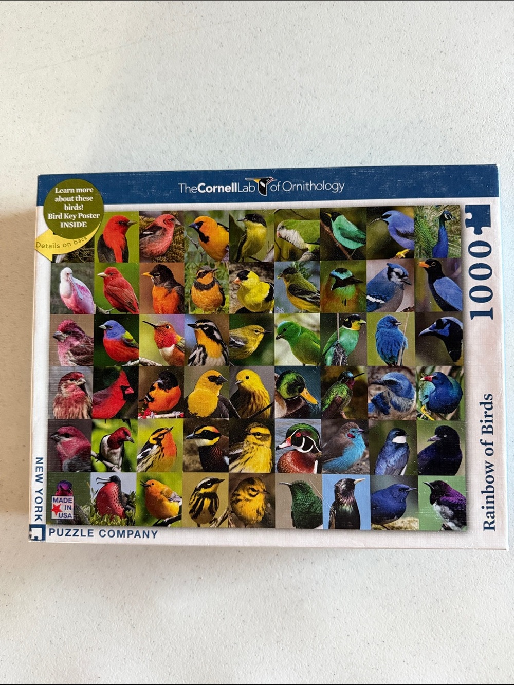 Cornell Lab of Ornithology Rainbow of Birds 1000-Piece Puzzle - Multi-Color